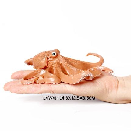 Simulation Marine Mollusc Plastic Model Figures Nautilus Ammonite Squid Octopus Figurine Sealife Animal Educational Toy For Kids