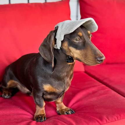 Soft Adjustable Dog Baseball Cap For Small Medium Large Dogs Cats Outdoor Puppy Sun Hat Dachshund French Bulldog Pet Sports Hats