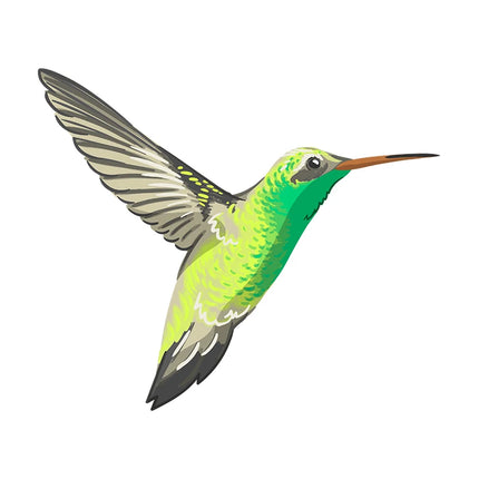 C206# Beautiful Parrot And Hummingbird Hand Painted Bird Sticker For Home Decoration Toilet Sticker