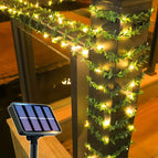 Little Green Leaf / 50LED
