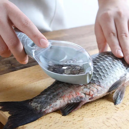 Fish Scale Scraper / Grattoir Écailles Poisson