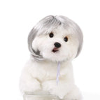 Silver Qi bangs