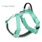 Aqua Green / L