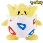 25cm