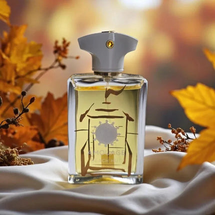 Men’s Eau De Parfum Long Lasting 100ml Aromatic Woody Fragrance with Fresh Warm Clean Notes and Refined Masculine Elegance