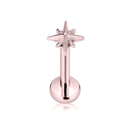 ASTM F136 G23 Titanium Star Heart Threadless Piercing Fine Pin Push in Labret Stud Daith Conch Earring Lip Jewelry 16G 18G 20G