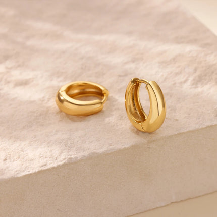 Classic Hoop Earrings for Women Girls Gold Color Chunky Stainless Steel Earrings 2026 Trend New in Minimalist Ear Jewelry aretes