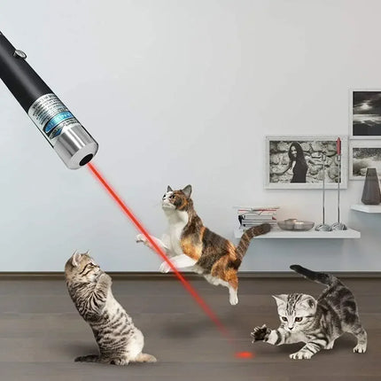 2-in-1 Mini LED Pointer Flashlight Pet Training Torch Scratching Toys for Pets and Cats Christmas Birthday Gifts No Battery