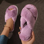 PURPLE / 36-37