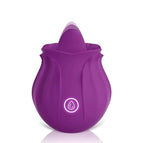 Purple 2