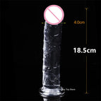 18.5cm