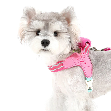 Fashion  Soft Dog Harness and Leash Set - Escape Proof Vest with Breathable Lining for Kittens Small Dogs Cats Puppy Walking