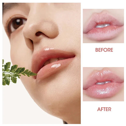 3-Color Tinted Lip Glaze Jelly Mirror Lipstick - Long-Lasting Moisturizing Waterproof Non-Stick Lip Balm Fade Lip Lines Makeup