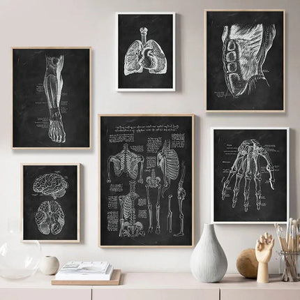 Human Anatomy Artwork Medical Clinic Wall Picture Skeleton Organ Muscle System Vintage Canvas Print Body Education Poster
