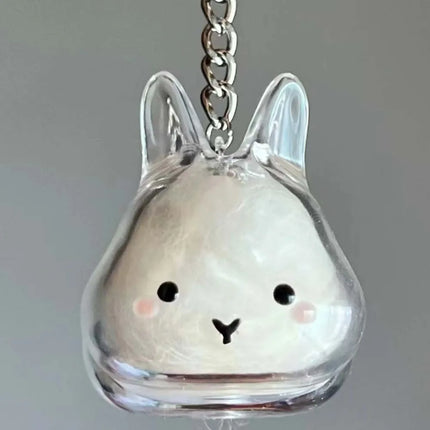Transparent Acrylic Keychain Cat Hair Storage Capsule Animal Shaped Handmade Rabbit Hair Storage Box Portable Cute