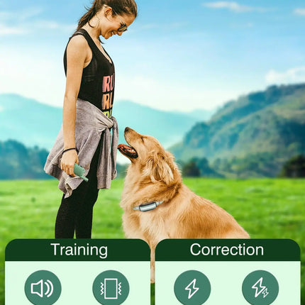 IPX7 Waterproof Training Collars for 7-120lbs Medium Large Dogs，3300ft Dog Shock Collar with Remote, Shock & Double Shock Mode