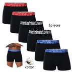 6pc--W11-2 / M
