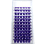 Purple Mix / C / 0.07mm|MIX