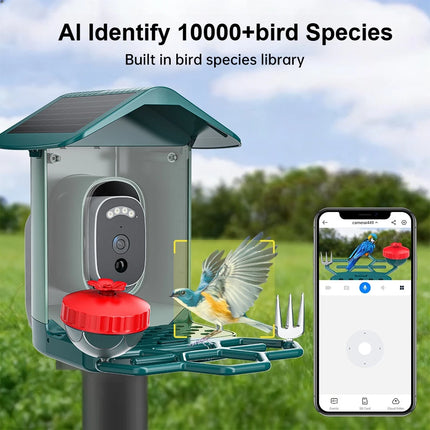 Jooan 4K Solar Bird Feed Camera 2.4G WiFi Outdoor IP Camera Feeder Waterproof HD Bird Video Night Vision Identify Birds Species