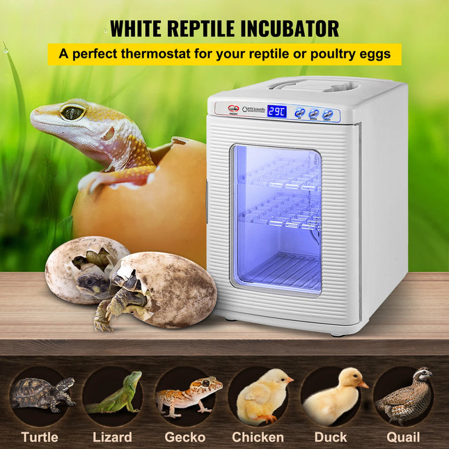 SucceBuy 25L Reptile Incubator Scientific Lab Automatic Incubator Egg Breeding Hatchery Works for Thermostats, Snakes, and Turtles