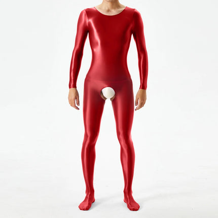 1pc Men Sexy Glossy Bodystocking Long Sleeve Body Jumpsuits Crotchless Bodysuit Ultra-thin Sheer Oily Shiny Underwear