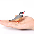 Mannikin-1