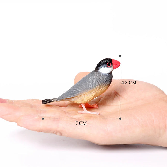 Simulation Bird Animal Kingfisher Robin Magpie Pigeon Hummingbird Model Action Figure Garden Decoration Miniature Figurines Toys