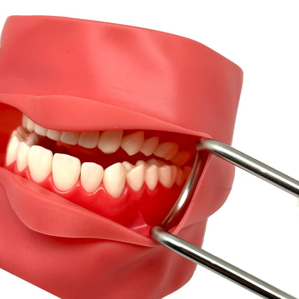 Dental Double-headed retractor Dental Stainless steel Mouth Expand Lip Retractor Intraoral Cheek Upper Lower Lip