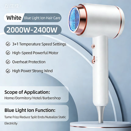 2400W High-Power Professional Portable Hair Dryer Thermostatic Heating And Cooling Negative Ion Hair Dryer