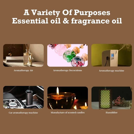 Namste Aroma Essential Oil Various Series Fragrance Set Of 10*5ml Sample Essential Oil Air Freshener Aromatic For Diffuser Home