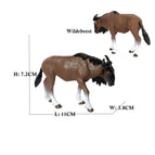 Wildebeest