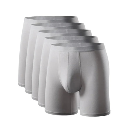 5pcs95% Bamboo Fiber 5% Spandex Men Length Long Leg Boxer Classic Design Comfortflex Waistband Underwear Man Sports Plus Size