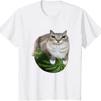 1091-White / S