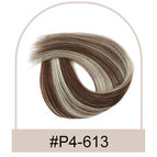 P4-613 / 40G / 12inches