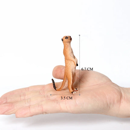 Realistic Forest Wild Animal Capybara Beaver Badger Wolverine Raccoon Meerkat Badger Model Figure Collector Toys for Kids