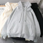 24 / XL
