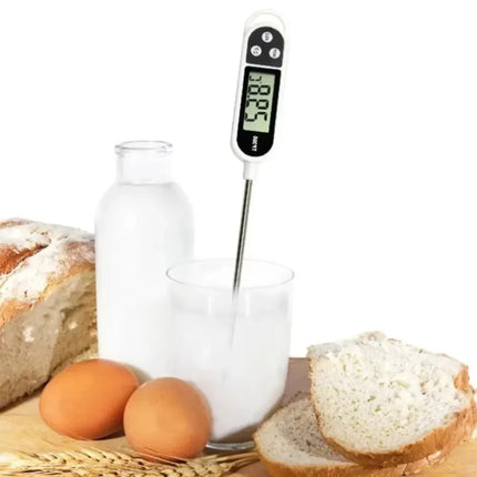 Digital Thermometer / Thermomètre Numérique