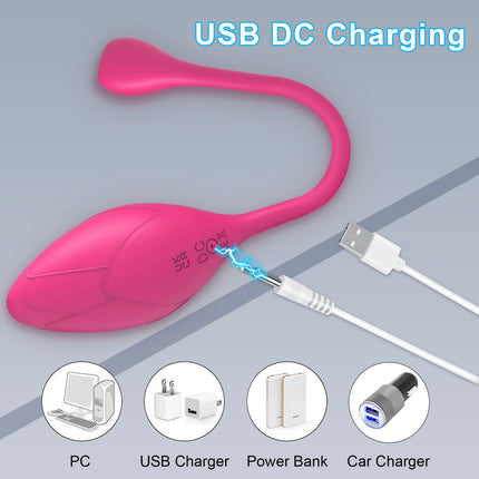 Wireless Bluetooth APP Vibrator Sex Toys for Women Remote Control Egg Clitoris Stimulator G Spot Massager Adults Female Panties