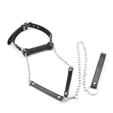 Bdsm Bondage Silicone Dog Bone Ball Gag,Leash Chain Attached,Puppy Play Mouth Stuffed Stick Restraint Gag Slave Roleplay Sex Toy