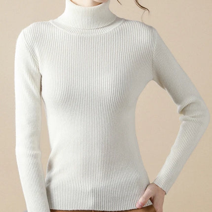 Heliar Women Fall Turtleneck Sweater Knitted Soft Pullovers Cashmere Jumpers Basic Soft Sweaters For Women 2024 Autumn Winter
