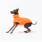 Orange 2-leg / S