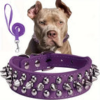 PURPLE / XL
