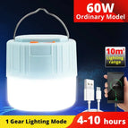 60W Non-Solar / 1pcs