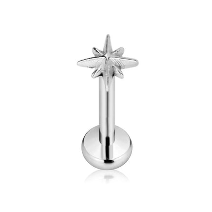 ASTM F136 G23 Titanium Star Heart Threadless Piercing Fine Pin Push in Labret Stud Daith Conch Earring Lip Jewelry 16G 18G 20G