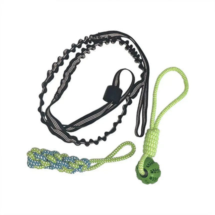 Spring Pole Dog Rope Toys, Dog Interactive Tether Tug of War Toy, Indoor/Outdoor Bungee Hanging Dogs Toy