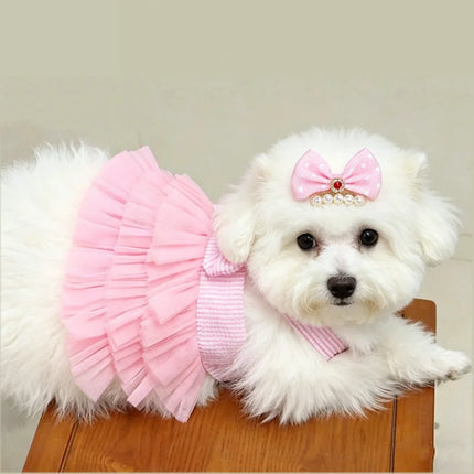 Dog Dress Girls Summer Clothes for Dogs Cat with Bowknot Clips Lace Striped Pet Suspenders Puppy Princess Dresses Dog Tutu Skirt