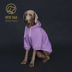PURPLE / S