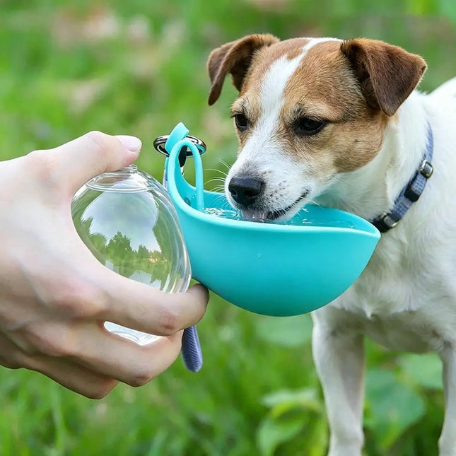285ml Pet Drinking Silicone Bowl with Lanyard Removable Dog Feeding Bottle Leak-Proof Travel Bowl for Dogs on the Go