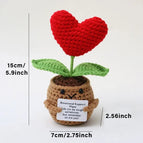 red heart Potted