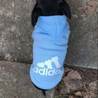 Light blue / 4XL(10-14KG dogs)